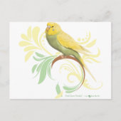 Pastel Green Parakeet Postkarte (Vorderseite)