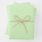 Pastel Green Tea Leaf Solid Farbe Geschenkpapier Set (Beispiel)