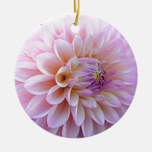Pastel Hued Dahlia Keramik Ornament (Vorne)