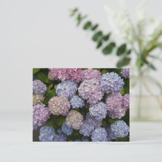 Pastel Hydrangea Blume Nah Up DIY Postkarte (Stehend Vorderseite)