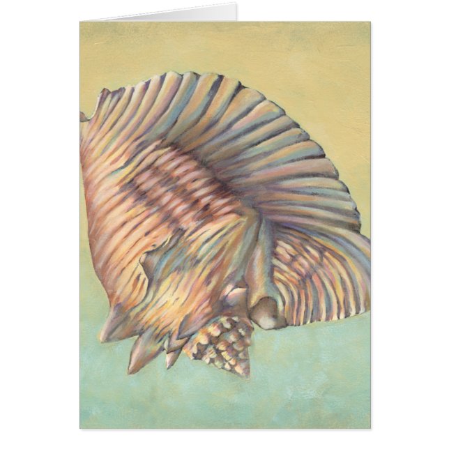 Pastel Large Conch Muschel (Vorne)