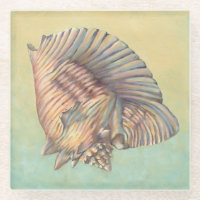 Pastel Large Conch Muschel