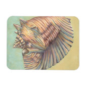 Pastel Large Conch Muschel Magnet (Horizontal)