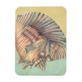 Pastel Large Conch Muschel Magnet (Vertikal)