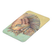 Pastel Large Conch Muschel Magnet (Linke Seite)