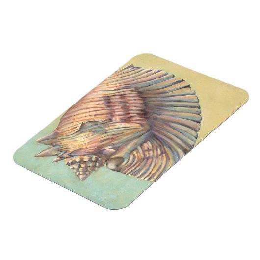 Pastel Large Conch Muschel Magnet (Linke Seite)