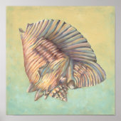 Pastel Large Conch Muschel Poster (Vorne)