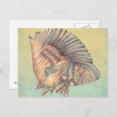 Pastel Large Conch Muschel Postkarte (Vorne/Hinten)