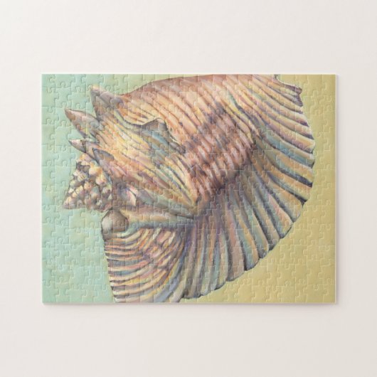 Pastel Large Conch Muschel Puzzle (Horizontal)