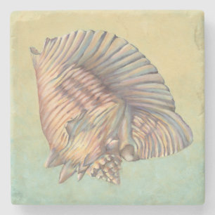 Pastel Large Conch Muschel Steinuntersetzer