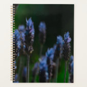 Pastel Lila Blue Lavender Blume Planer (Vorderseite)