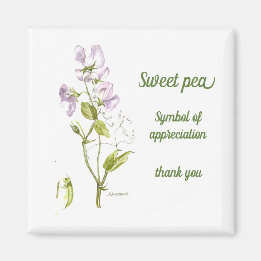 Pastel lila und grüne Wasserfarbe Süßerbse Magnet