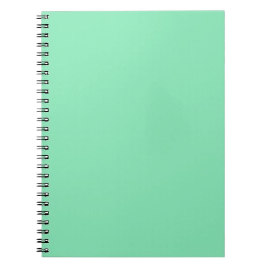 Pastel Mint Green Notebook Notizblock (Vorderseite)