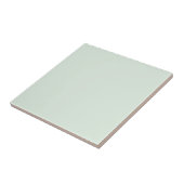 Pastel Mint Green Solid Color Fliese (Seite)