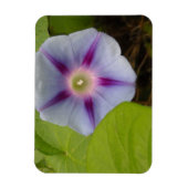 Pastel Morning Glory Magnet (Vertikal)