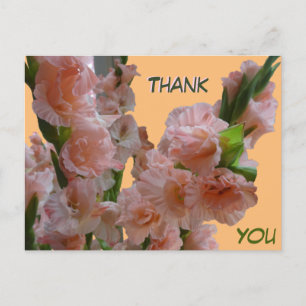 Pastel Orange Pink Gladioli Vielen Dank Postcard Postkarte