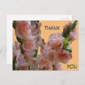 Pastel Orange Pink Gladioli Vielen Dank Postcard Postkarte (Vorne/Hinten)