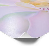 Pastel Orchid Fotodruck (Ecke)