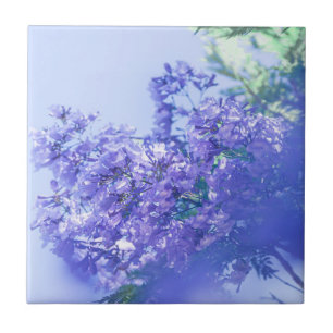 Pastel Pale Lila Jacaranda Tree Blume Fliese