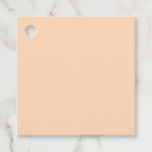Pastel Peach Solid Color | Classic | elegant Geschenkanhänger (Vorderseite)