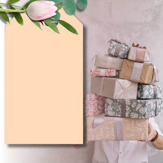 Pastel Peach Solid Color | Classic | elegant Geschenkanhänger