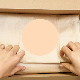 Pastel Peach Solid Color | Classic | elegant Runder Aufkleber
