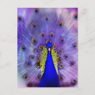 Pastel Peacock Blue Bird Postkarte