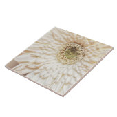 Pastel Petals Blume Chrysanthemen Fliese (Seite)