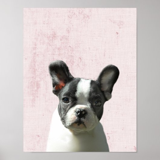 Pastel Pink Peekaboo Boston Terrier Puppy Kinderzi Poster (Vorne)