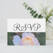 Pastel Pink Rose UAWG RSVP Karte (Stehend Vorderseite)