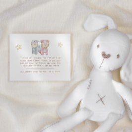 Pastel Plush Toys Kinderdusche Begleitkarte