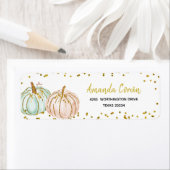 Pastel Pumpkin Gender Reveal (Insitu)