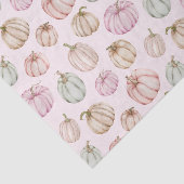 Pastel Pumpkins auf rosa Seidenpapier (Ausschnitt)