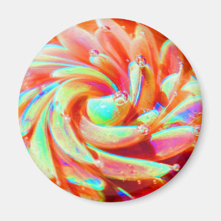 Pastel Rainbow Bubble Ocean Sea Anemone Magnet
