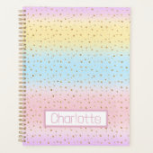Pastel Rainbow Stripes Planer (Vorderseite)