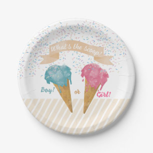 Pastel Retro Ice Cream Gender Reveal Party Pappteller