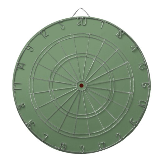 Pastel Sage Green Dart Board Dartscheibe (vorne)