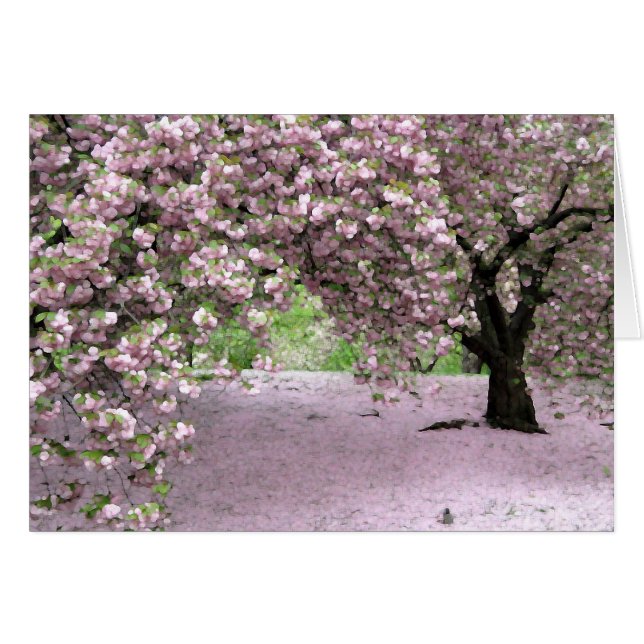 Pastel Serenity (Vorderseite (Horizontal))