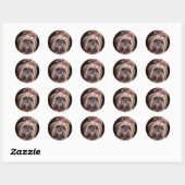 Pastel Shih Tzu Runder Aufkleber (Blatt)