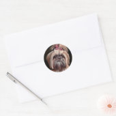 Pastel Shih Tzu Runder Aufkleber (Umschlag)