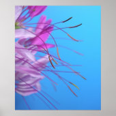 Pastel Simplicity Poster (Vorne)