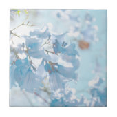 Pastel Soft Blue Jacaranda Blume Blüten Fliese (Vorderseite)