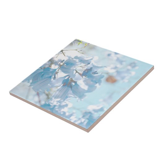 Pastel Soft Blue Jacaranda Blume Blüten Fliese (Seite)