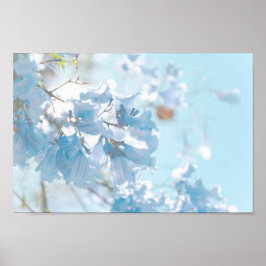 Pastel Soft Blue Jacaranda Blume Blüten Poster