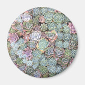 Pastel Succulent Garden Magnet (Vorne)