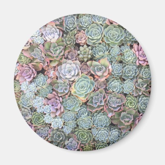 Pastel Succulent Garden Magnet (Vorne)