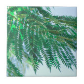 Pastel Theme Jacaranda Tree Blätter Fliese (Vorderseite)