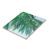 Pastel Theme Jacaranda Tree Blätter Fliese (Seite)