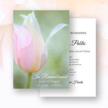 Pastel Tulip Blume Frühjahrsfest Todesjahr Jahrest
