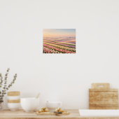 Pastel Tulip Fields Poster - Spring Flower (Küche)